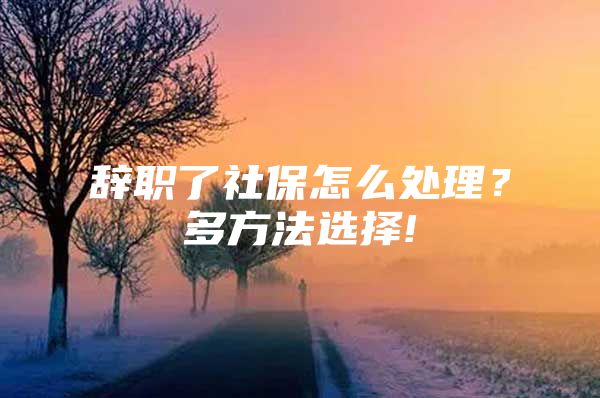 辭職了社保怎么處理？多方法選擇!