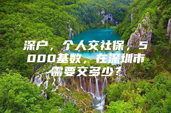 深戶，個人交社保，5000基數(shù)，在深圳市需要交多少？