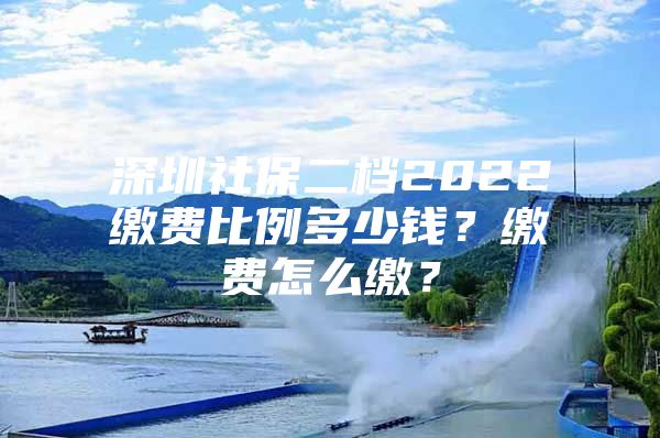 深圳社保二檔2022繳費(fèi)比例多少錢(qián)？繳費(fèi)怎么繳？