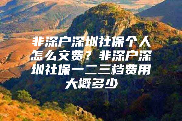 非深戶深圳社保個(gè)人怎么交費(fèi)？非深戶深圳社保一二三檔費(fèi)用大概多少