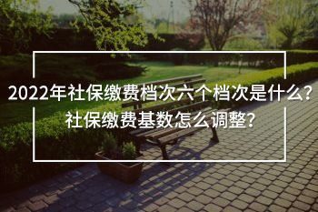 2022年社保繳費(fèi)檔次六個(gè)檔次是什么？社保繳費(fèi)基數(shù)怎么調(diào)整？