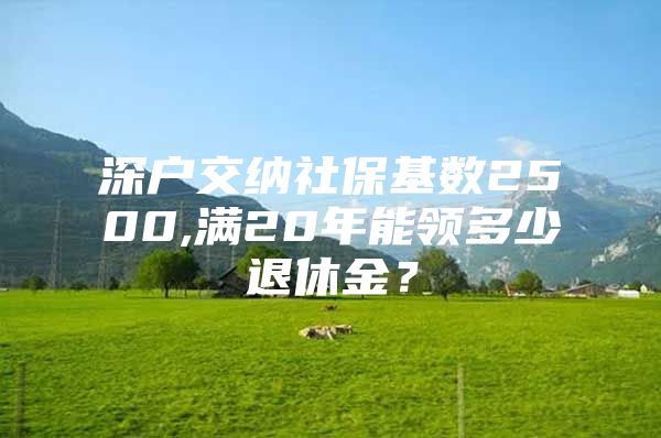 深戶交納社?；鶖?500,滿20年能領多少退休金？