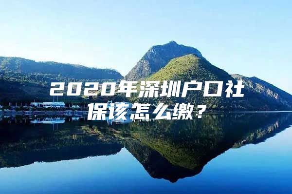 2020年深圳戶口社保該怎么繳？