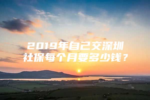 2019年自己交深圳社保每個(gè)月要多少錢(qián)？