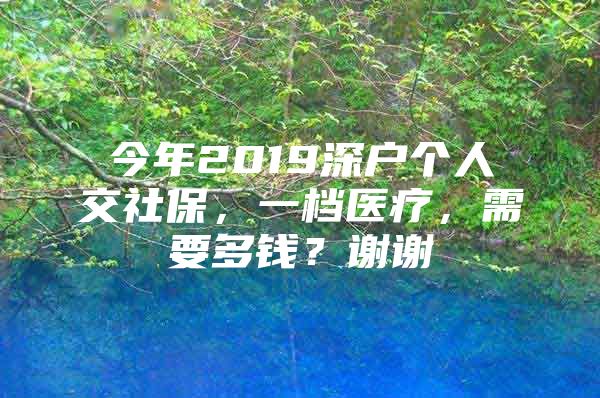 今年2019深戶個人交社保，一檔醫(yī)療，需要多錢？謝謝