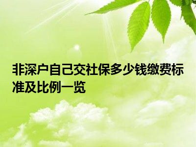 非深戶自己交社保多少錢繳費標準及比例一覽