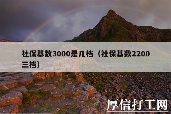 社?；鶖?shù)3000是幾檔（社?；鶖?shù)2200三檔）