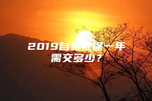 2019自費社保一年需交多少？