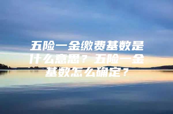 五險一金繳費基數(shù)是什么意思？五險一金基數(shù)怎么確定？