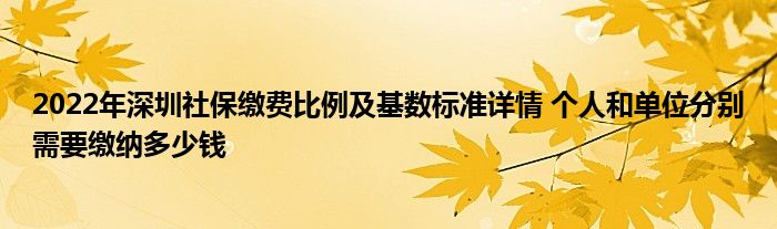 2022年深圳社保繳費比例及基數(shù)標準詳情 個人和單位分別需要繳納多少錢