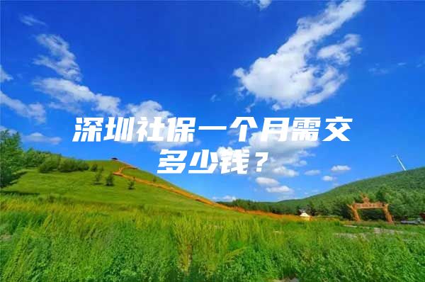 深圳社保一個(gè)月需交多少錢？