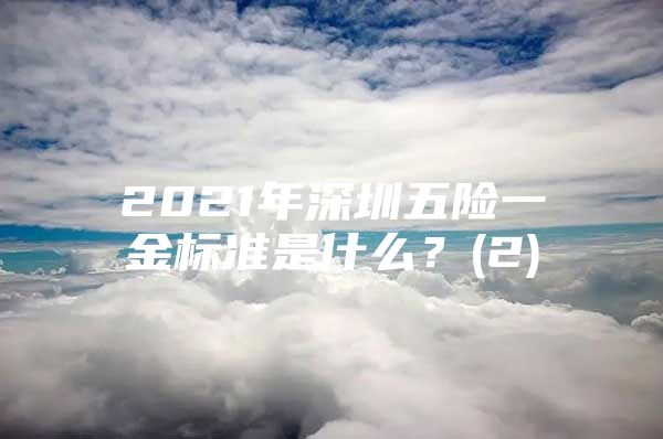 2021年深圳五險(xiǎn)一金標(biāo)準(zhǔn)是什么？(2)