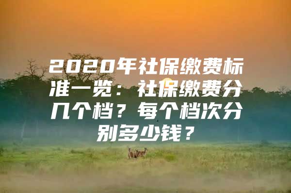 2020年社保繳費(fèi)標(biāo)準(zhǔn)一覽：社保繳費(fèi)分幾個(gè)檔？每個(gè)檔次分別多少錢？